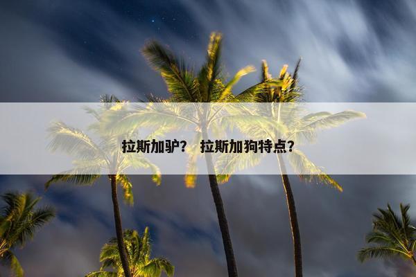 拉斯加驴？ 拉斯加狗特点？