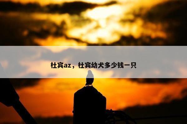 杜宾az，杜宾幼犬多少钱一只