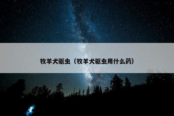 牧羊犬驱虫（牧羊犬驱虫用什么药）