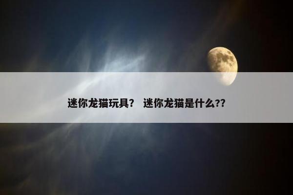 迷你龙猫玩具？ 迷你龙猫是什么?？