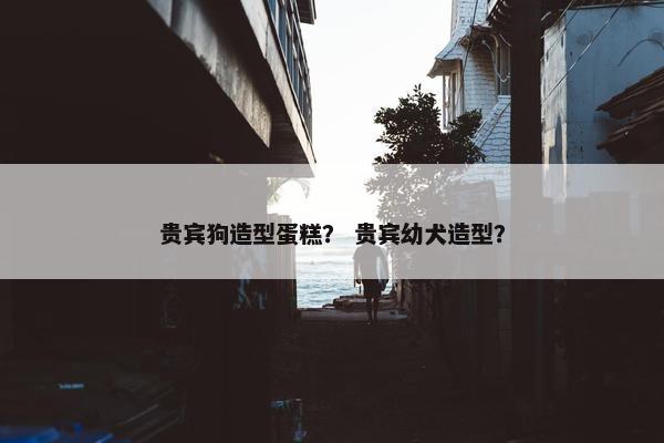 贵宾狗造型蛋糕？ 贵宾幼犬造型？