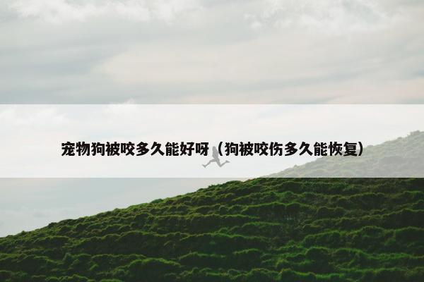 宠物狗被咬多久能好呀（狗被咬伤多久能恢复）