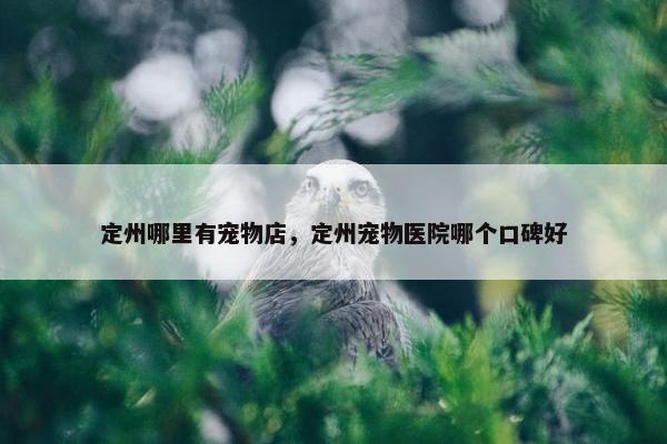 定州哪里有宠物店，定州宠物医院哪个口碑好