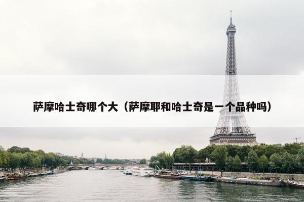 萨摩哈士奇哪个大（萨摩耶和哈士奇是一个品种吗）