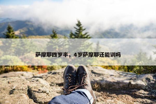萨摩耶四岁半，4岁萨摩耶还能训吗