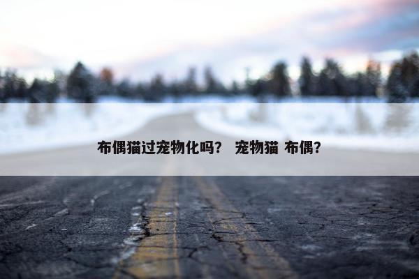 布偶猫过宠物化吗？ 宠物猫 布偶？