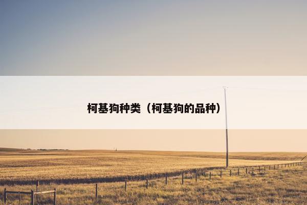 柯基狗种类（柯基狗的品种）