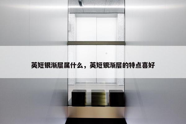 英短银渐层属什么，英短银渐层的特点喜好