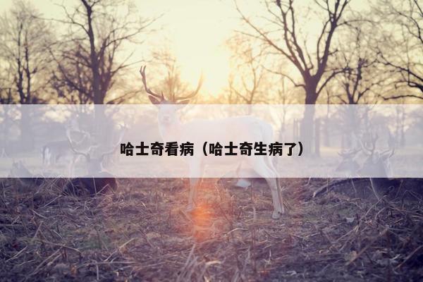 哈士奇看病（哈士奇生病了）