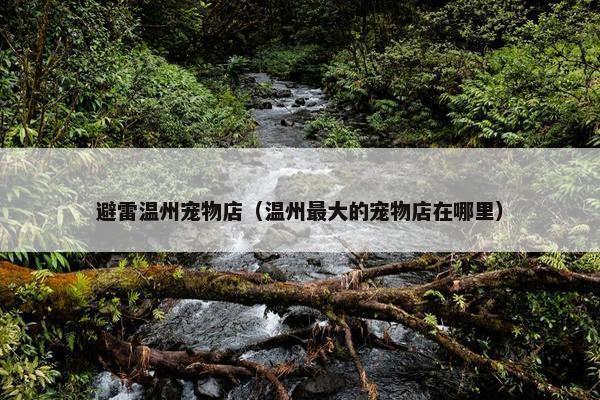 避雷温州宠物店（温州最大的宠物店在哪里）
