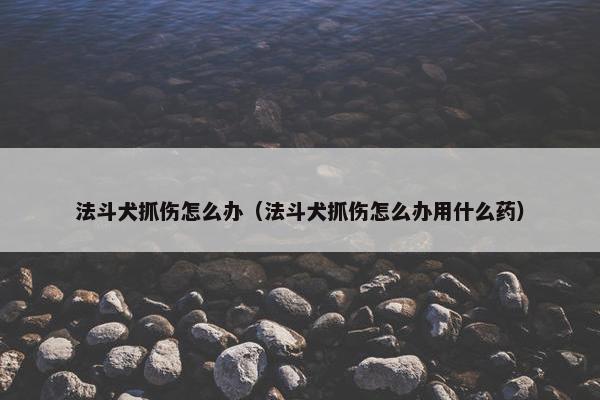 法斗犬抓伤怎么办（法斗犬抓伤怎么办用什么药）