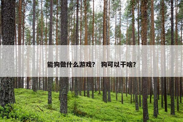 能狗做什么游戏？ 狗可以干啥？