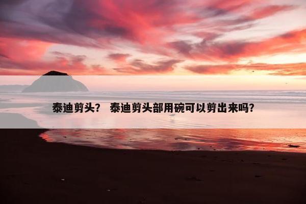 泰迪剪头？ 泰迪剪头部用碗可以剪出来吗？