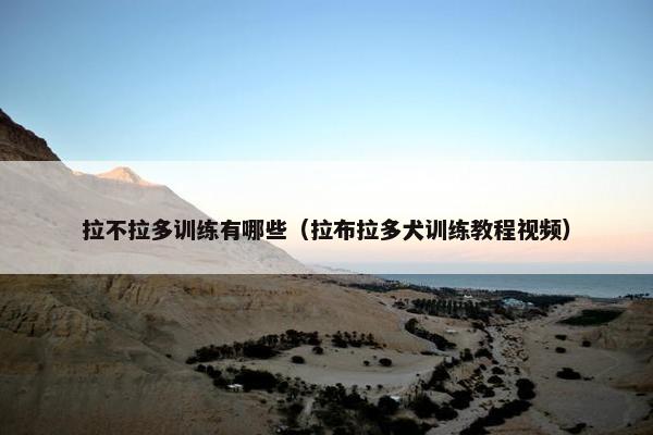 拉不拉多训练有哪些（拉布拉多犬训练教程视频）