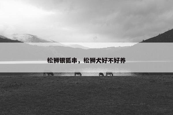 松狮银狐串，松狮犬好不好养