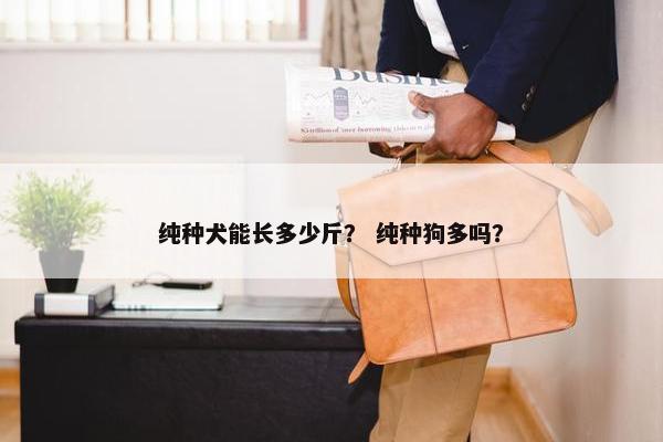 纯种犬能长多少斤？ 纯种狗多吗？