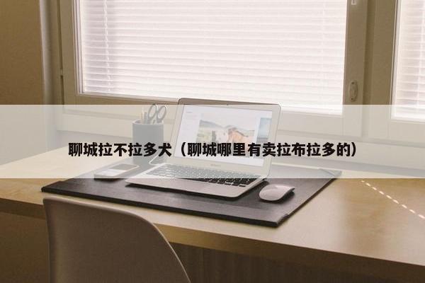 聊城拉不拉多犬（聊城哪里有卖拉布拉多的）