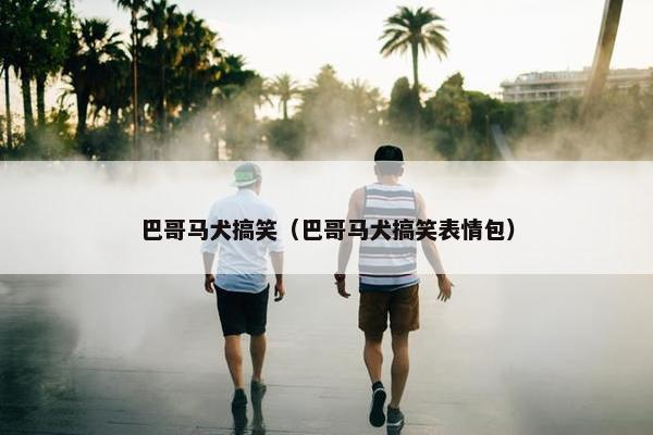 巴哥马犬搞笑（巴哥马犬搞笑表情包）