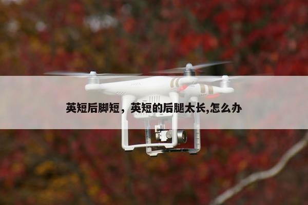 英短后脚短，英短的后腿太长,怎么办
