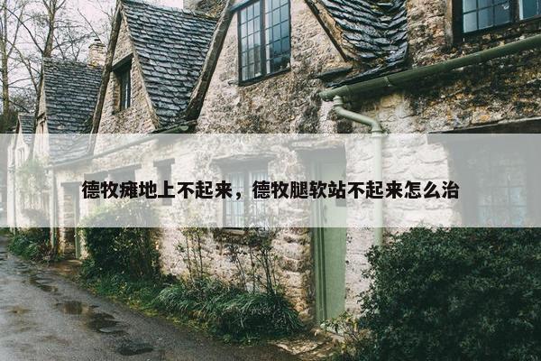 德牧瘫地上不起来，德牧腿软站不起来怎么治