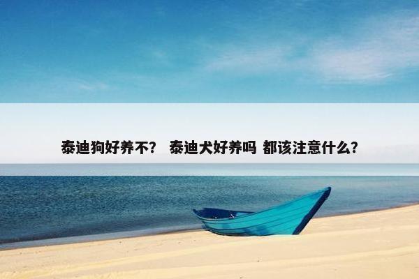 泰迪狗好养不？ 泰迪犬好养吗 都该注意什么？