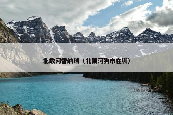 北戴河雪纳瑞（北戴河狗市在哪）
