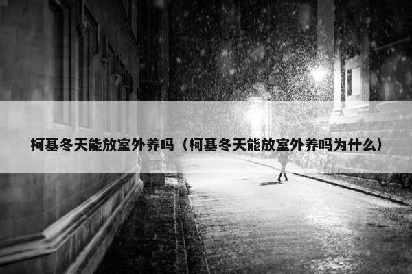 柯基冬天能放室外养吗（柯基冬天能放室外养吗为什么）