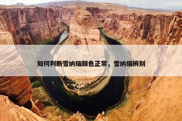 如何判断雪纳瑞颜色正常，雪纳瑞辨别