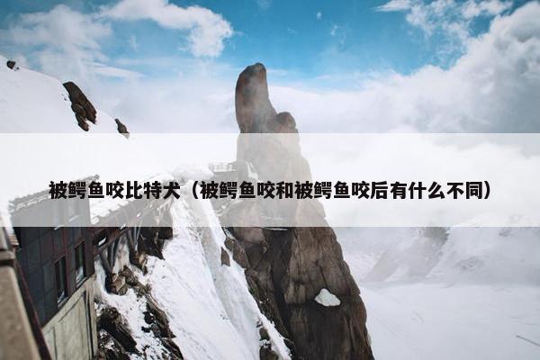 被鳄鱼咬比特犬（被鳄鱼咬和被鳄鱼咬后有什么不同）