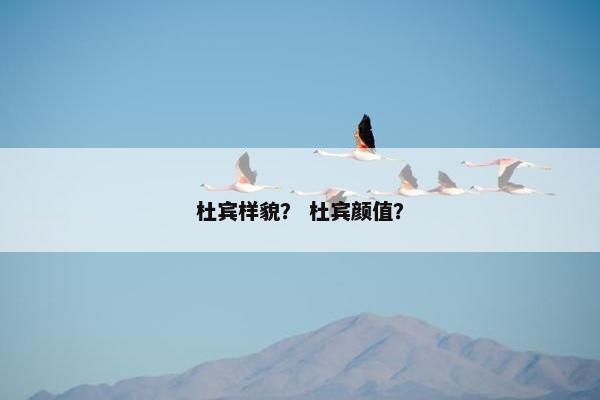 杜宾样貌？ 杜宾颜值？