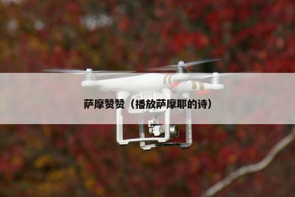 萨摩赞赞（播放萨摩耶的诗）