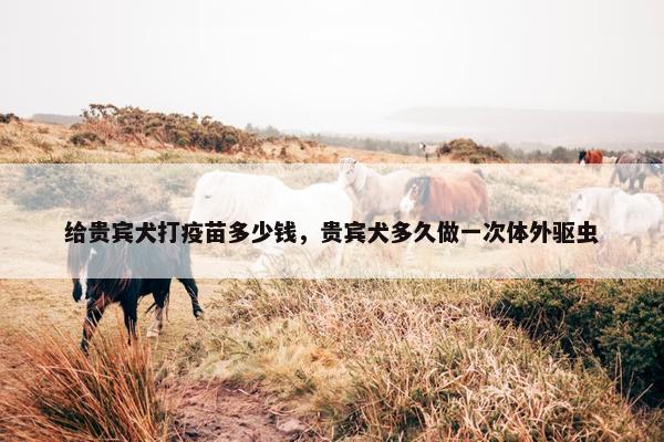给贵宾犬打疫苗多少钱，贵宾犬多久做一次体外驱虫