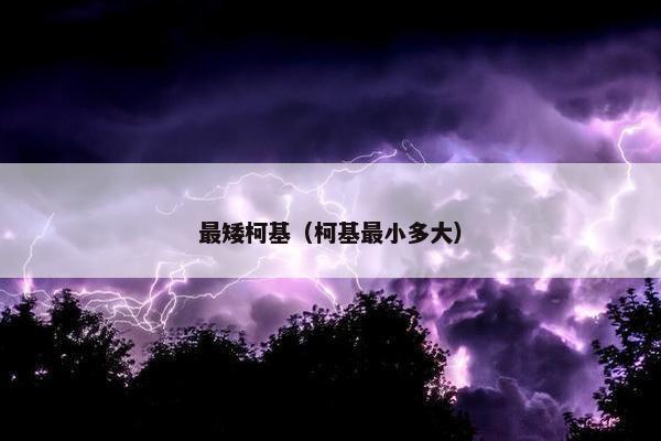 最矮柯基（柯基最小多大）