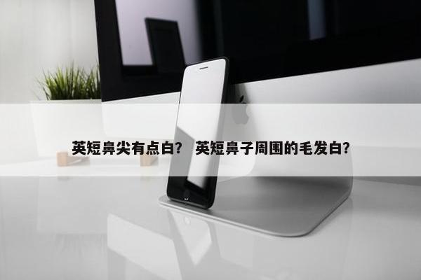 英短鼻尖有点白？ 英短鼻子周围的毛发白？