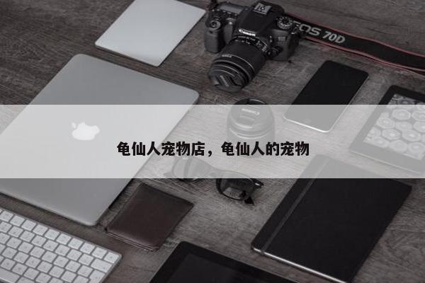 龟仙人宠物店，龟仙人的宠物