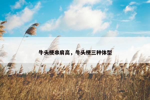 牛头梗串肩高，牛头梗三种体型