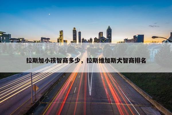 拉斯加小孩智商多少，拉斯维加斯犬智商排名