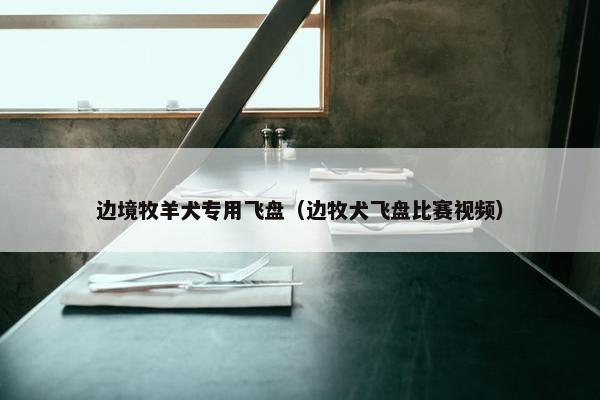 边境牧羊犬专用飞盘（边牧犬飞盘比赛视频）