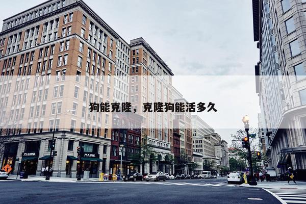 狗能克隆，克隆狗能活多久