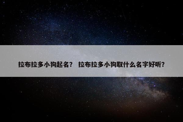 拉布拉多小狗起名？ 拉布拉多小狗取什么名字好听？