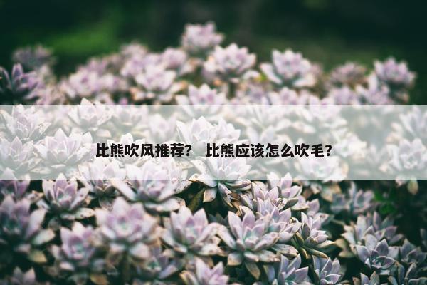 比熊吹风推荐？ 比熊应该怎么吹毛？