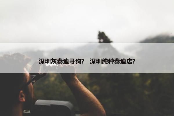 深圳灰泰迪寻狗？ 深圳纯种泰迪店？