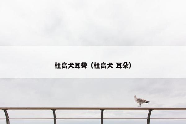 杜高犬耳聋（杜高犬 耳朵）