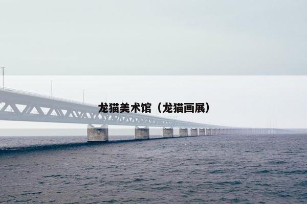 龙猫美术馆（龙猫画展）