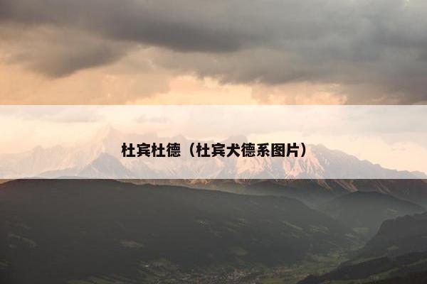 杜宾杜德（杜宾犬德系图片）