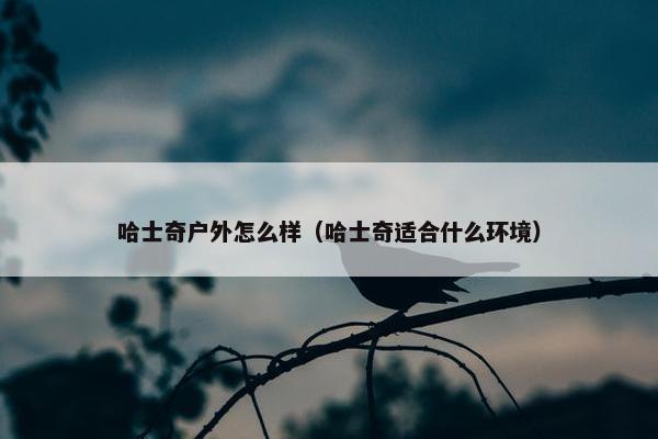 哈士奇户外怎么样（哈士奇适合什么环境）