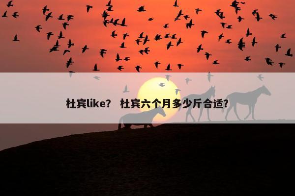 杜宾like？ 杜宾六个月多少斤合适？