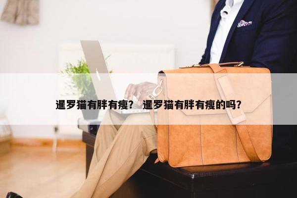 暹罗猫有胖有瘦？ 暹罗猫有胖有瘦的吗？