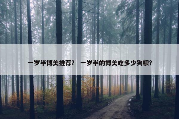 一岁半博美推荐？ 一岁半的博美吃多少狗粮？