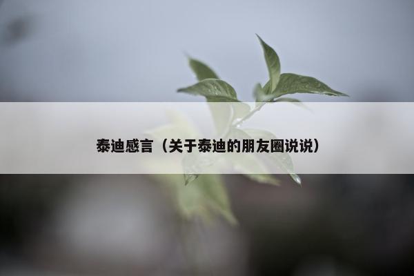 泰迪感言（关于泰迪的朋友圈说说）